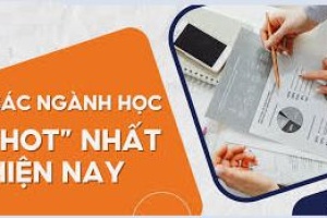 Ưu và nhược điểm của 5 ngành học Hot hiện nay